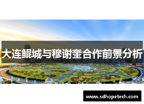 大连鲲城与穆谢奎合作前景分析